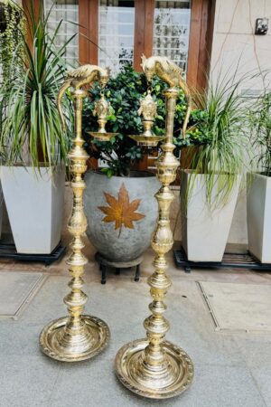 Parrot Sangu Chakram Vizhakku