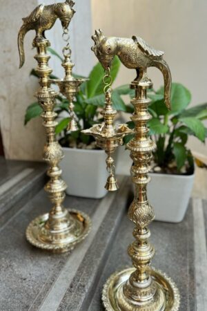 Parrot Vizhakku