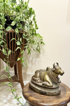 NANDHI