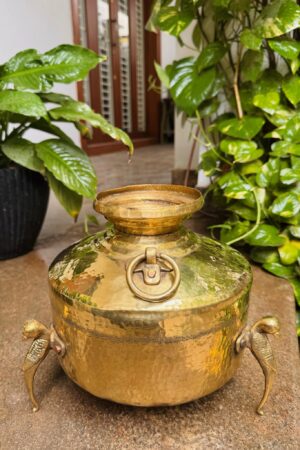 ANTIQUE KILLI PAANAI