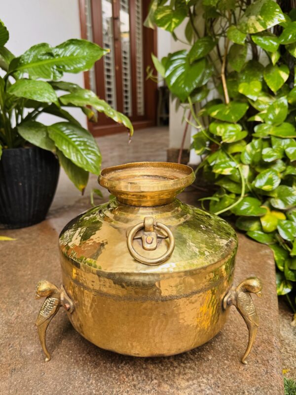 ANTIQUE KILLI PAANAI