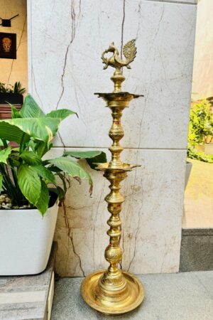 Double Step Annapakshi Vizhakku
