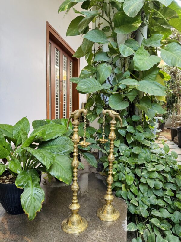 PAKSHI STAND VIZHAKKU