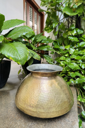 ANTIQUE THAYIR PANNAI