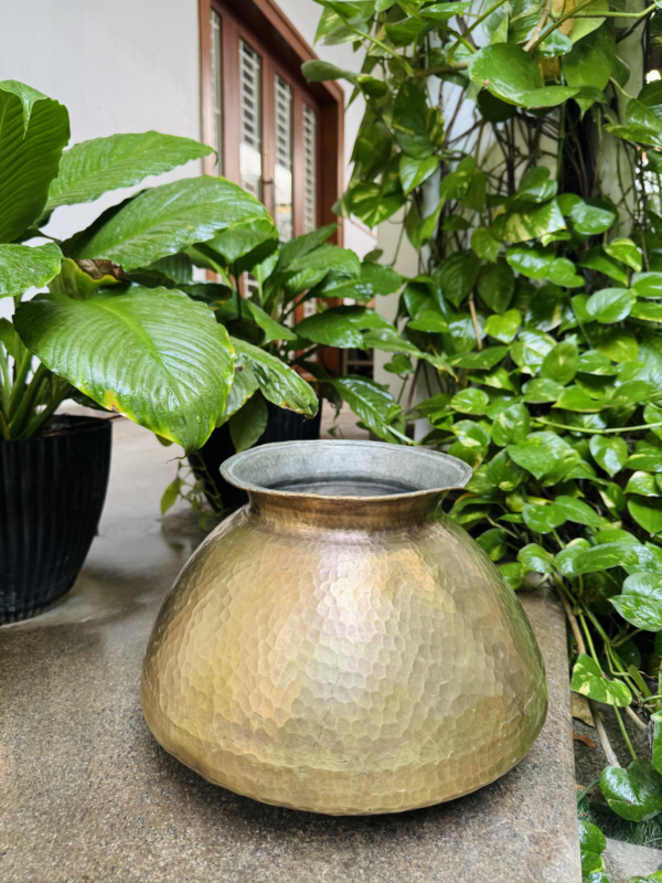 ANTIQUE THAYIR PANNAI