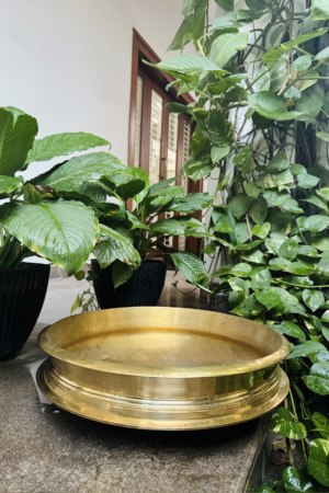 KERELA GETTI KANSA URLI