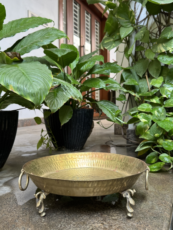 PEACOCK URLI PLATE
