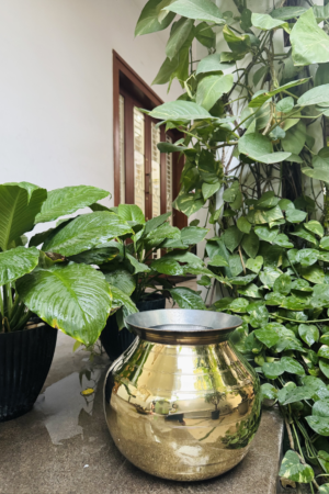 BRASS PAANAI