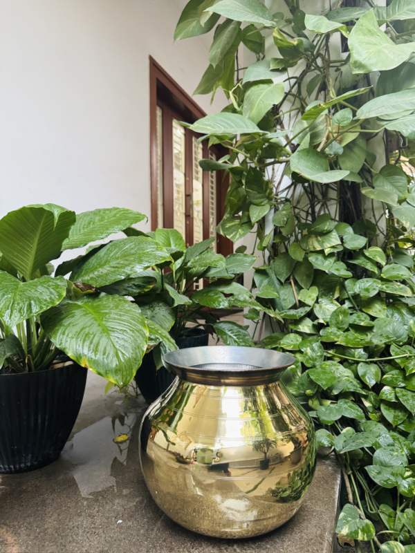 BRASS PAANAI