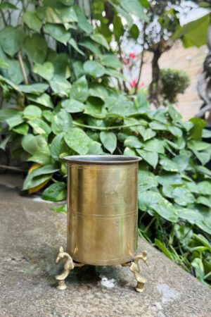PEACOCK TUMBLER