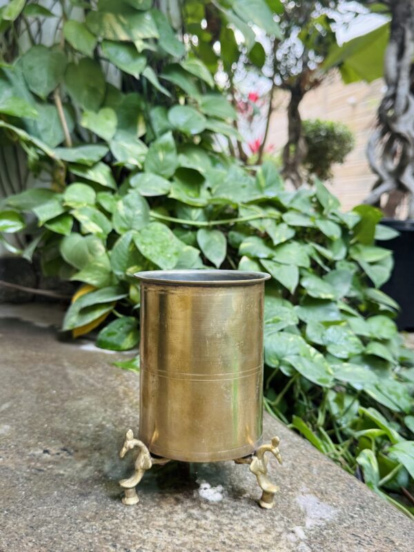 PEACOCK TUMBLER
