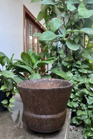 TRADITIONAL KUNDHANI