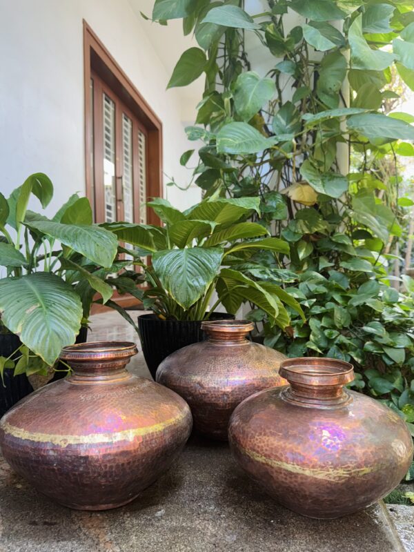 COPPER POTS