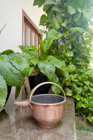ANTIQUE CURRY SERVER / RASA VAALI