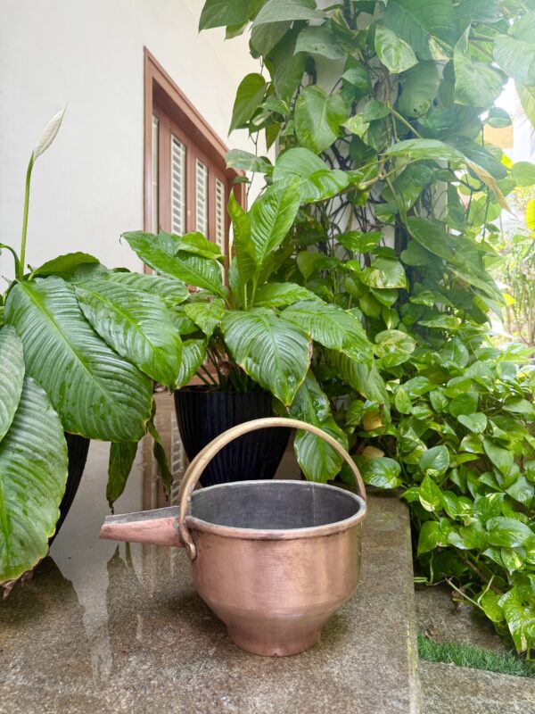 ANTIQUE CURRY SERVER / RASA VAALI