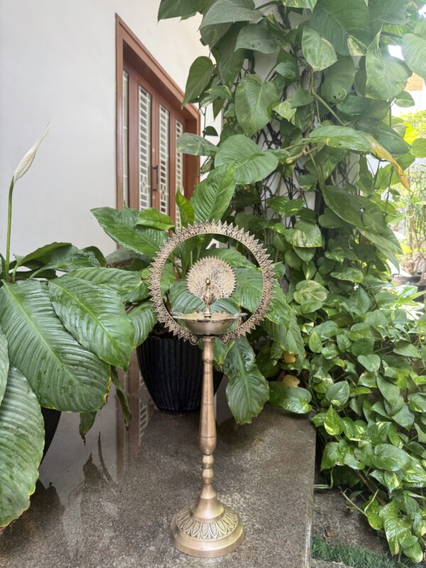 ANTIQUE PEACOCK VIZHAKKU