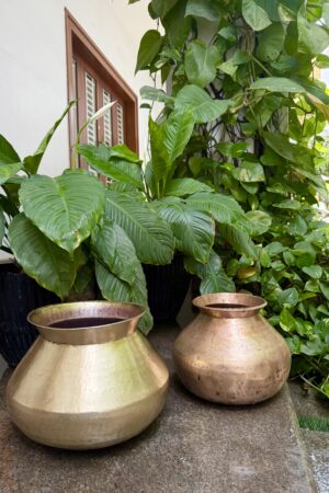HANDI POT