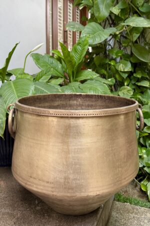 BRASS ANNAKOODAI / PLANTER