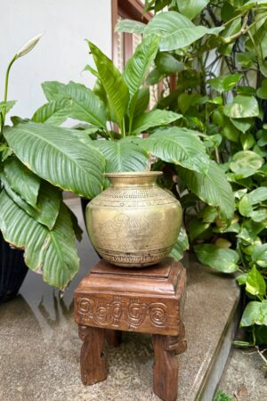 PEACOCK WATER POT