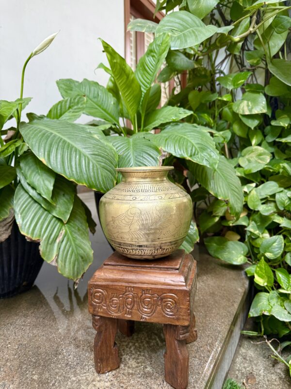 PEACOCK WATER POT