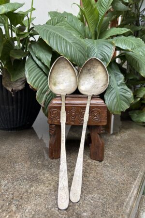 LEAF LADLE SPOON