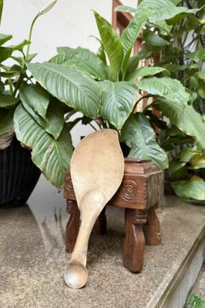 MANGO LADLE SPOON