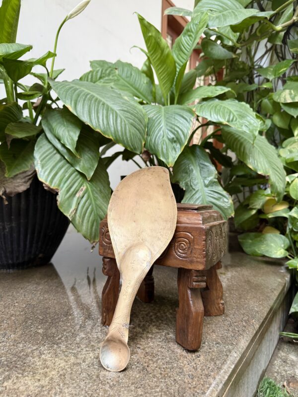 MANGO LADLE SPOON