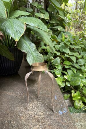 SNAKE STAND