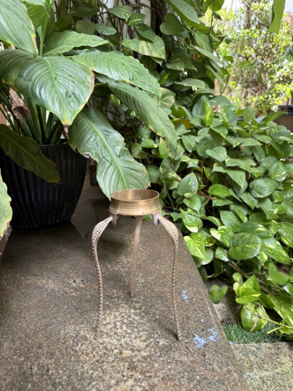 SNAKE STAND