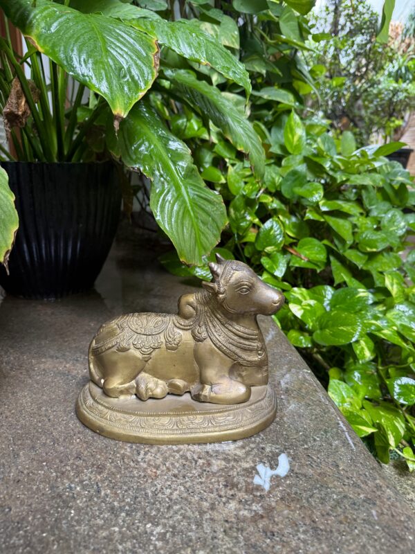 NANDI