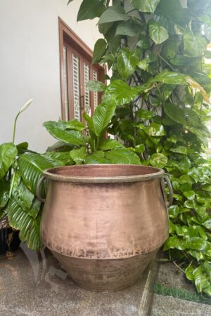 COPPER ANNAKOODAI / PLANTER