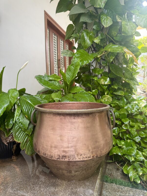 COPPER ANNAKOODAI / PLANTER
